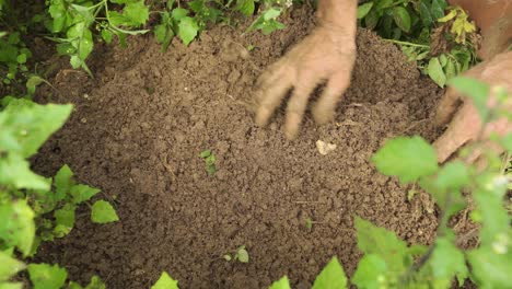 Bauer-Pflückt-Gras-Von-Hand.