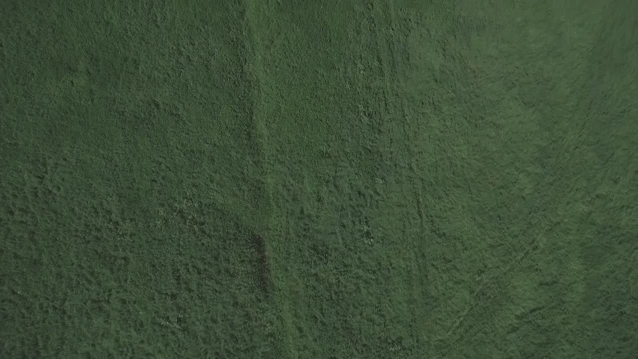 vista aérea de un campo verde