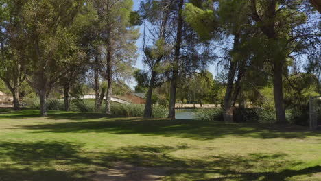 caminando por un parque hacia un lago en un día de verano en lancaster, california