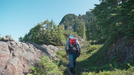 徒步旅行者穿過高山森林草原 - 麥肯齊山脈,溫哥華島,bc,加拿大