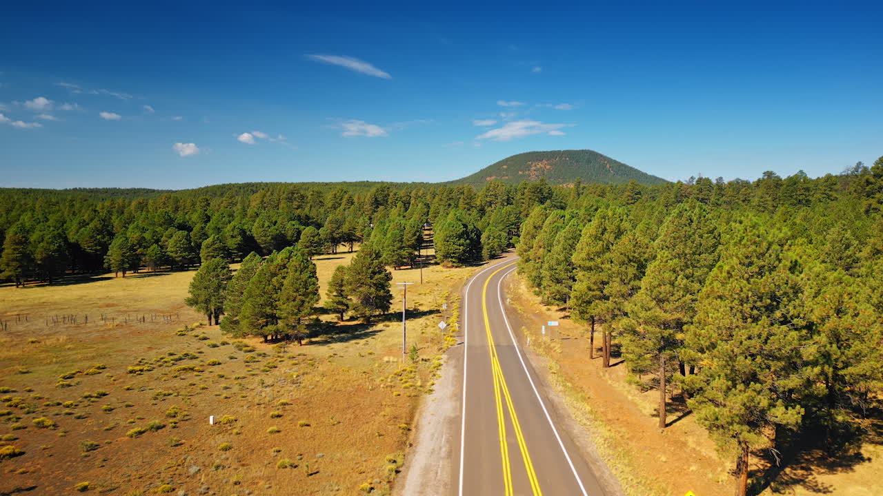 Backpacker girl walks by the highway along the wood. Hiking and camping concept