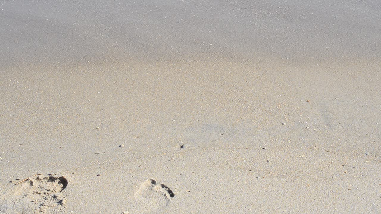 L'iscrizione sulla sabbia ad agosto, cancellata da un'onda. Iscrizione 'Agosto' sulla sabbia.
