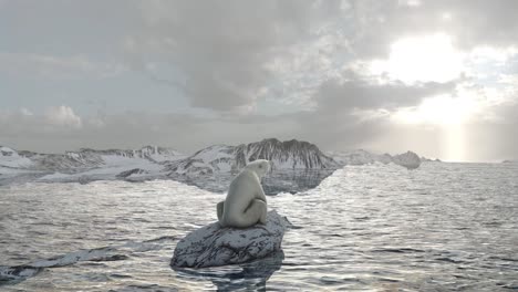 polar bear on melting ice