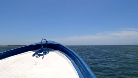 a small motor boat heads out on a whale watching tour in magdelena bay, mexico