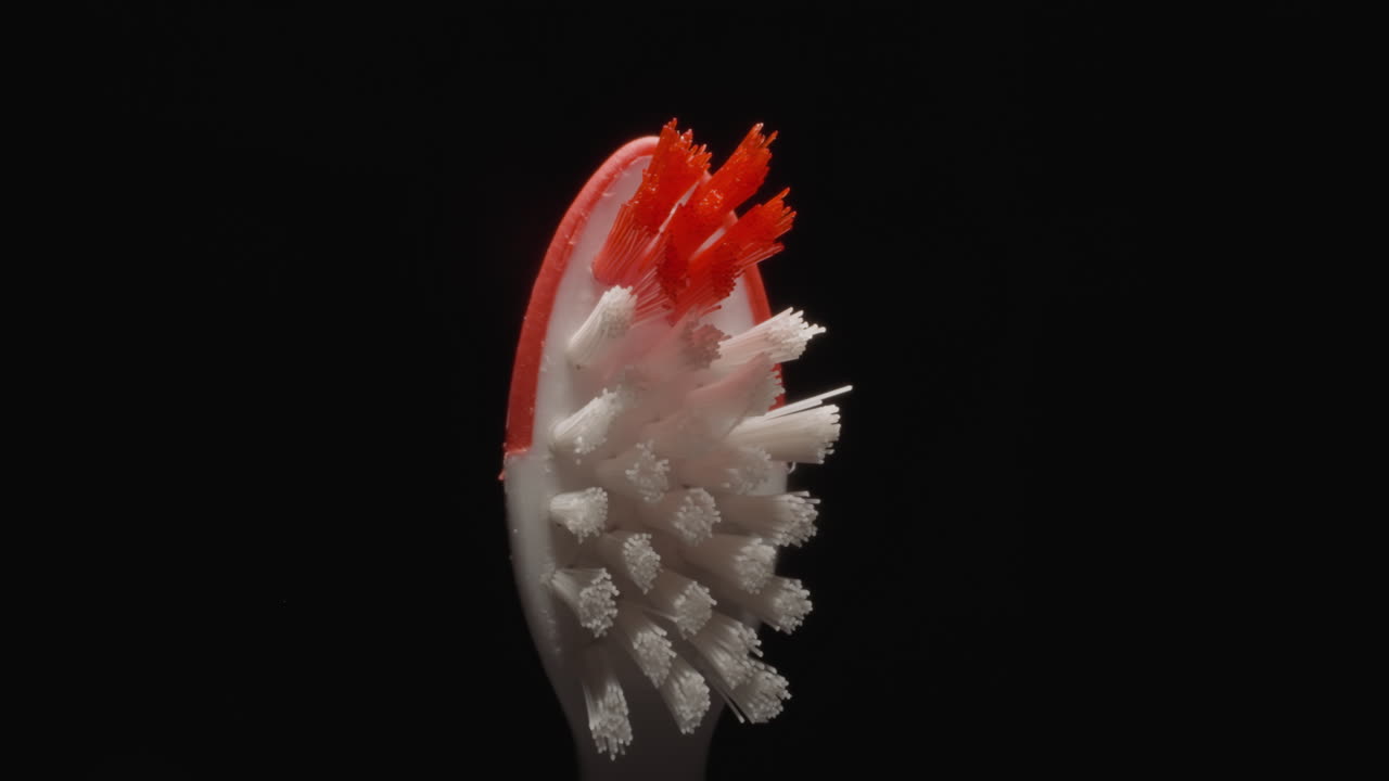 검은색 바탕에 단단한 털이 있는 어린이 치아 자루