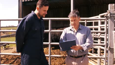 cattle farmer interacting with a man on clipboard