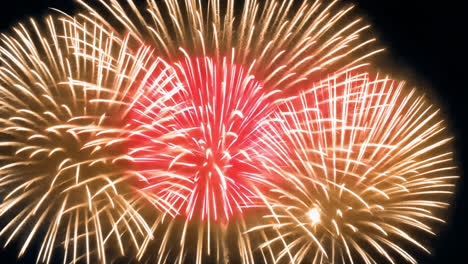 Vibrant fireworks illuminate night animated overlay, transparent 4K video, alpha channel, ProRes