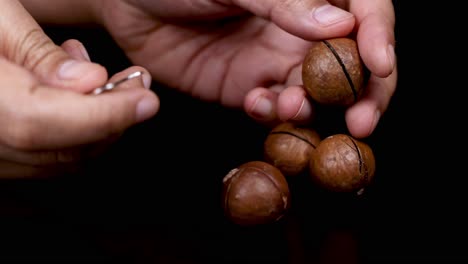 Hands cracking macadamia nuts with a tool