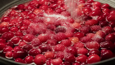 frozen cranberries cooking for tea or jam, background close up of cranberry berries in on the kitchen, chef making dessert healthy pie.