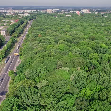 concepto de vivir cerca de la naturaleza