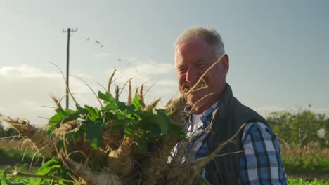 mature man working on farm