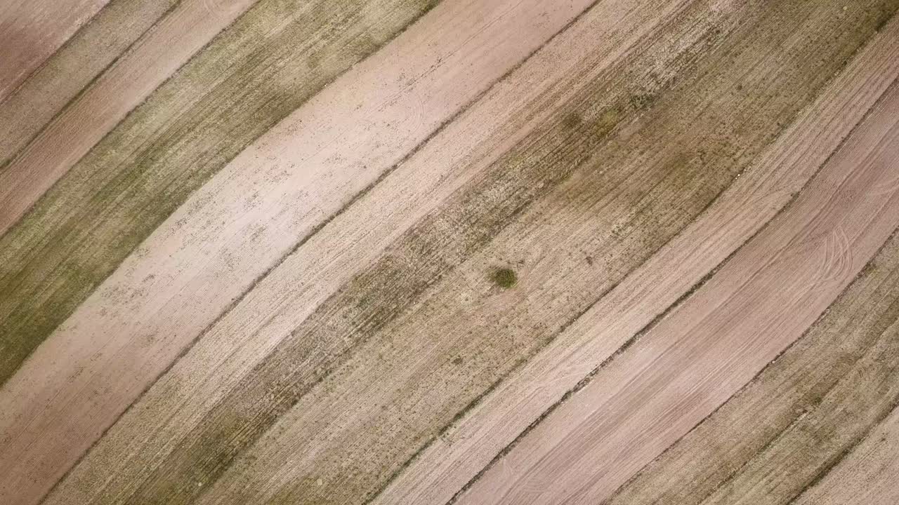 양배추 비 맥주 유기농 전통 공예 수확 비 농업 실제 밀 공예 맥주 브라운 힐스 전통 지역 농업 토지  성장 봄 수확 시즌 여름 자연 비료