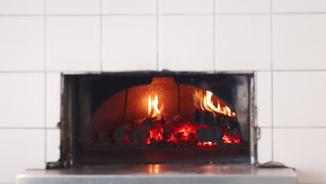 flames and wood burning in the clay oven at an artisan bakery, close up