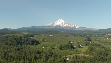 Luftaufnahme-Der-Amerikanischen-Landschaft-Und-Grüner-Bauernfelder-Mit-Mount-Hood-Im-Hintergrund