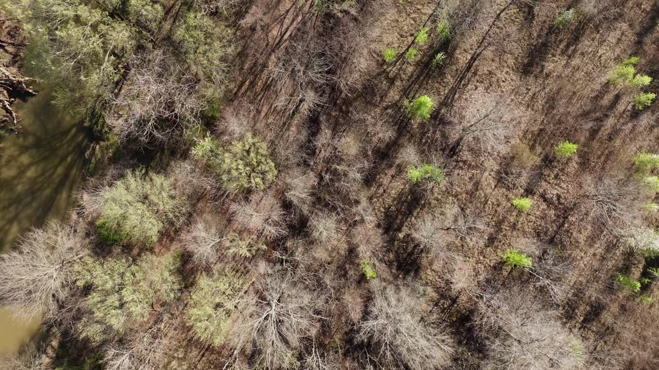 disparo de drone moviéndose lentamente sobre un bosque en otoño bordeando una fila de pequeños estanques y charcos de agua