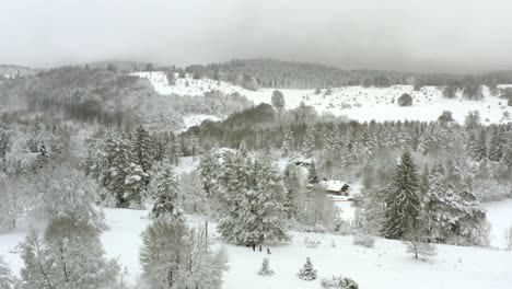 Family-is-walking-through-the-snow,-then-a-pullback-shot-flying-backwards-and-presenting-the-white-winterwonderland-at-the-Swabian-Alb,-Germany