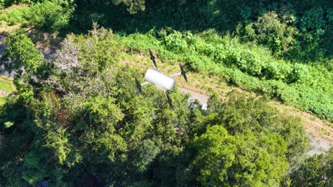 aerial view of a drone flying over a forested road with a moving vehicle, highlighting lush greenery and dynamic motion
