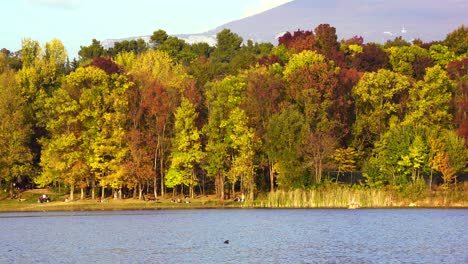 autumn season with yellow brown trees on city park where people relaxing on shore of the lake