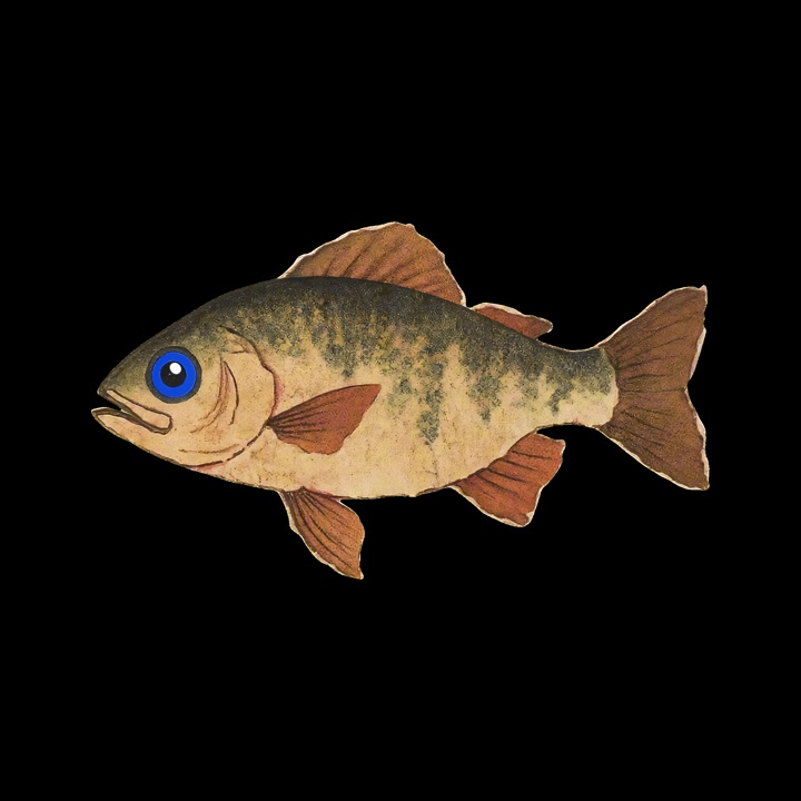 Pesce cartone animato con occhi blu su sfondo nero