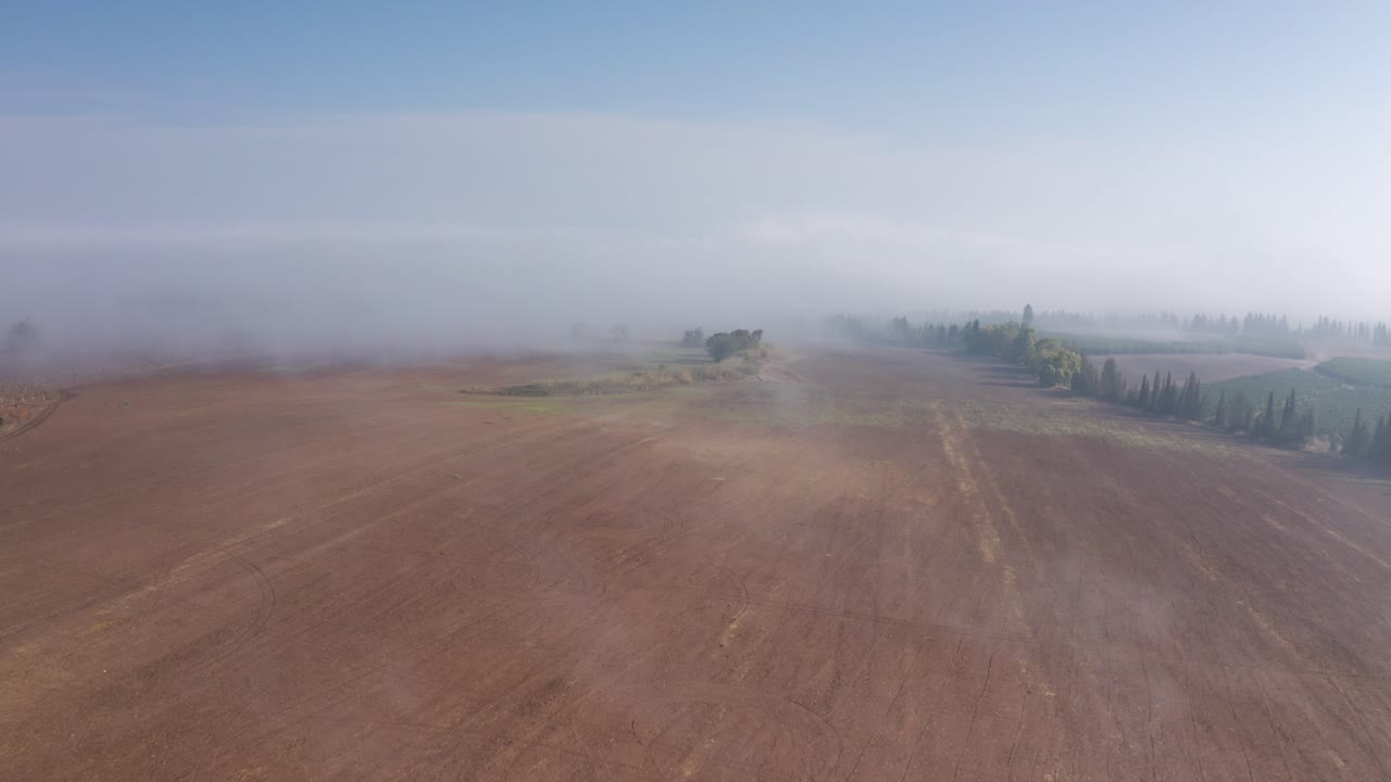 Misty Morning over Farmland