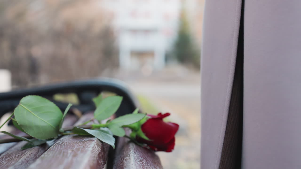 Rosa rossa su una panchina con un biglietto, una donna in cappotto beige si allontana attraverso un parco autunnale, foglie cadute sparse sul sentiero, una profondità di campo ridotta crea uno sfondo con un delicato effetto bokeh, un'atmosfera di silenzioso addio.