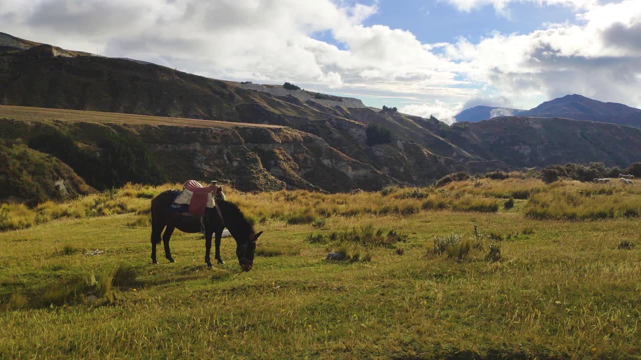 Horse Grazing in a Mountainous Landscape