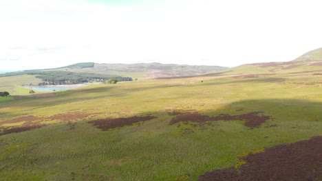 Paisaje-De-Las-Tierras-Altas-Escocesas-En-Los-Páramos-De-Lomond-Hills,-Disparo-De-Drones