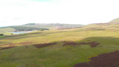 lomond hills 황무지의 스코틀랜드 고원 풍경, 드론 샷