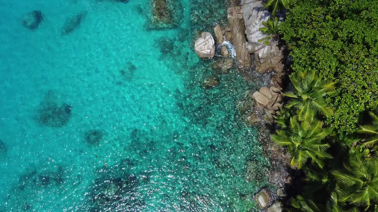 dove la flora incontra l'oceano nelle Seychelles