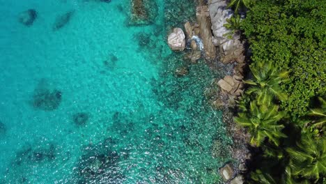 where flora meets ocean in the seychelles