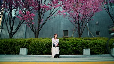 woman sitting amongst sakura blossoms in urban japan