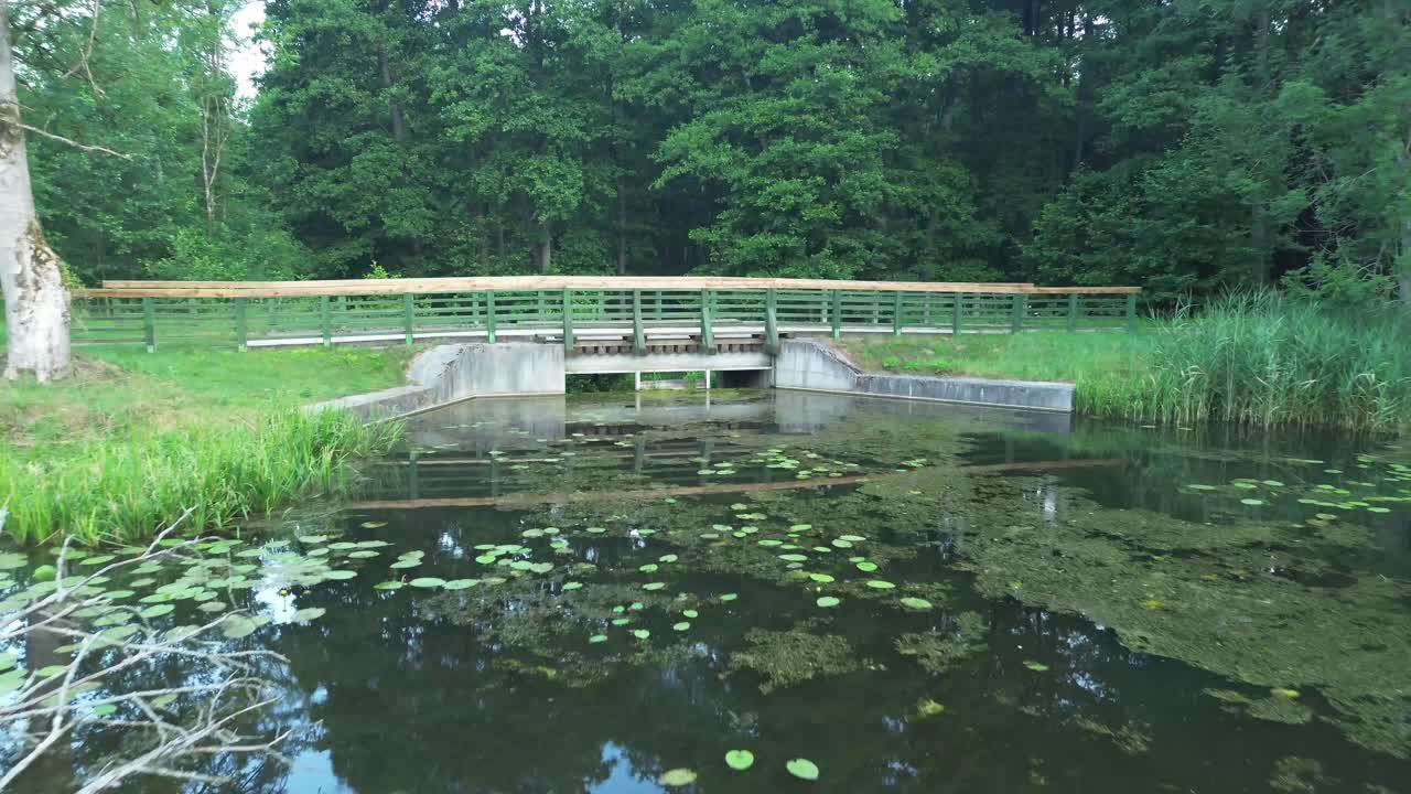 Journey through dawn's canvas—drone floats above Europe's serene lake, dense forest, and structured water dam, showcasing nature's harmony from the sky