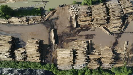 bird's eye view of endless lumber-stacks of cut down trees