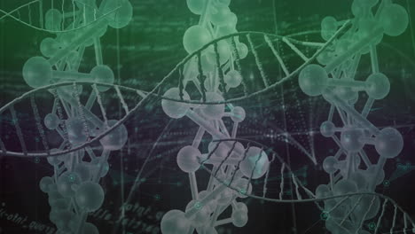 Animation-of-dna-strands-over-data-processing