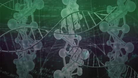 animación de cadenas de adn a través del procesamiento de datos