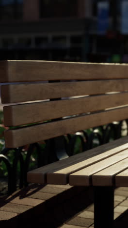 cerca de un banco de parque de madera