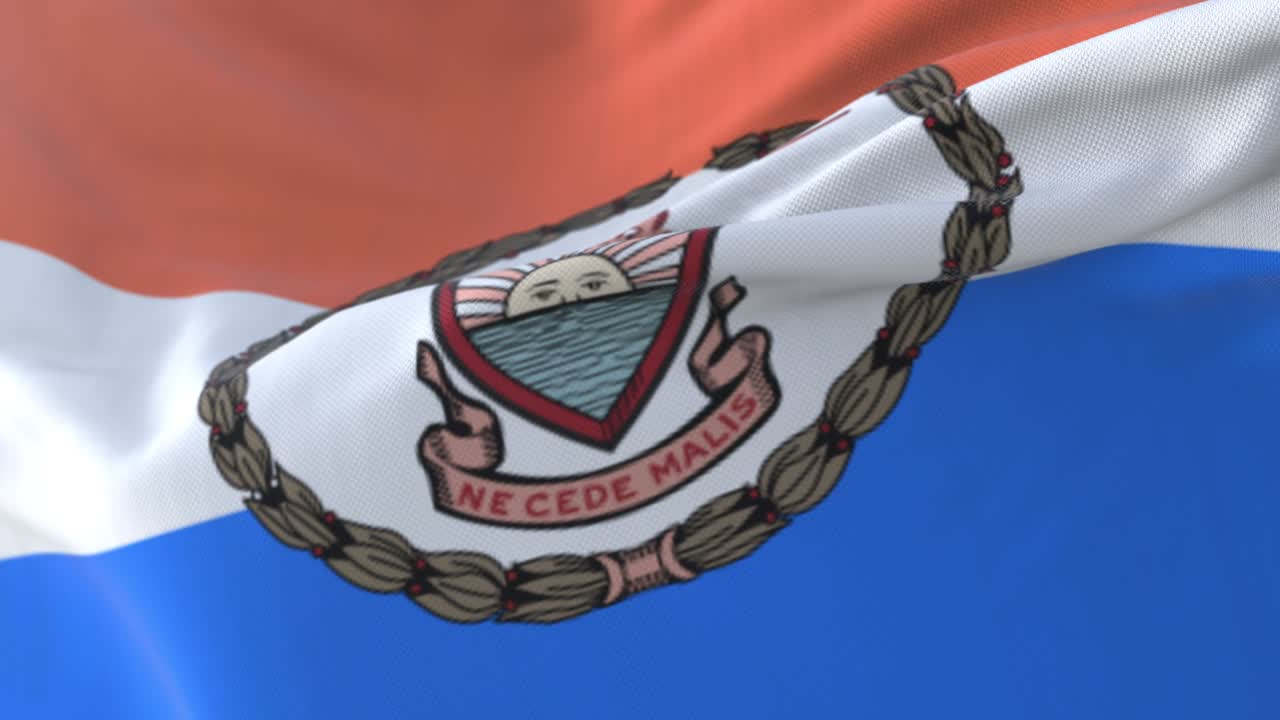 la bandera del bronx, condado del estado de nueva york, en los estados unidos - bucle