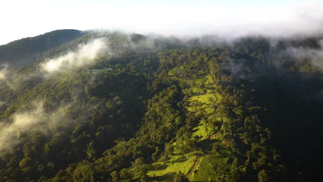 beautiful clouds drifting over a tropical rainforest