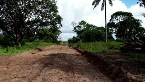 Fast-and-low-drone-flight-over-a-dirt-road-between-bushes-and-palm-trees