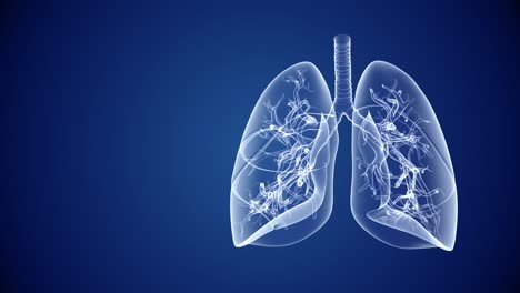 salud de los pulmones humanos y antecedentes médicos abstractos