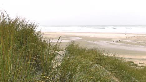 Serie-De-Tomas-De-Vacaciones-De-Invierno-Con-Viento-En-Los-Países-Bajos-En-La-Isla-Holandesa-Terschelling