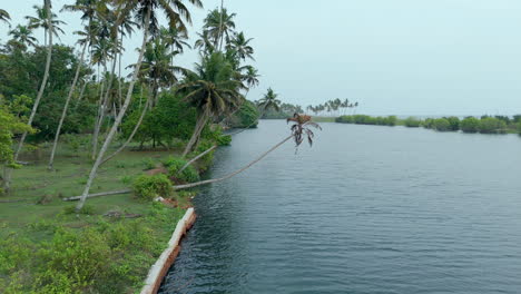 Manglares-En-La-Orilla-Del-Lago-Y-La-Orilla-Del-Mar