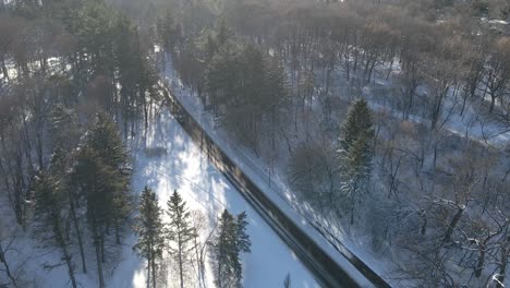 Aerial-view-of-a-street-surrounded-by-trees-winter-sunny-afternoon