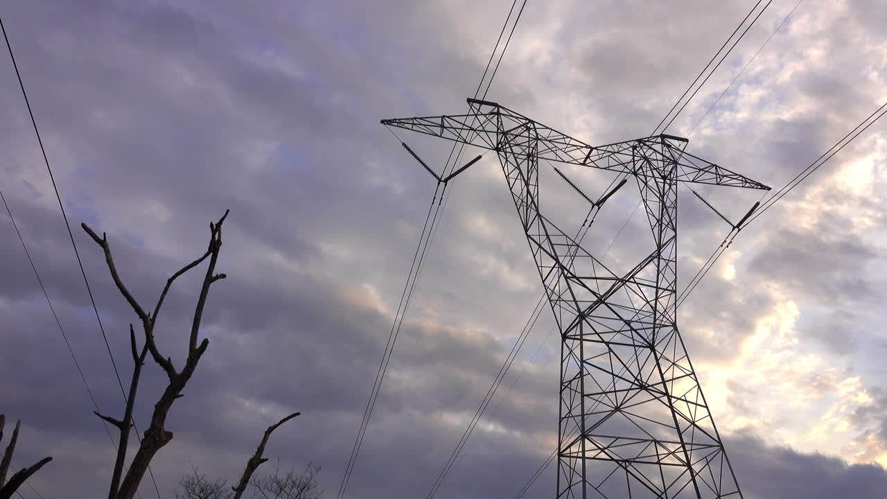 Large electrical tower with dead tree in foreground