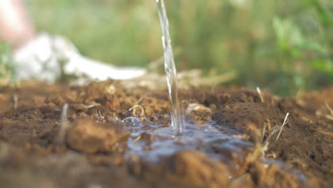 slow motion shoot of water drop in the soil for agriculture scene