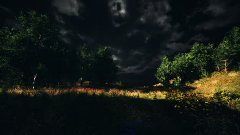 Thunderstorm-clouds-with-lightning-in-green-meadow