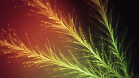 abstract floral background animation