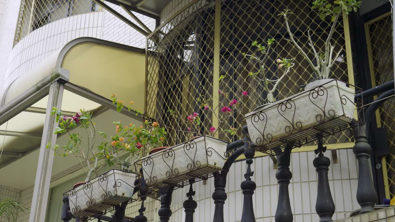 Pan shot of pots of green plants and flowers on a terrace during the day, outdoor