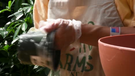 frote la limpieza de la maceta con agua y jabón de cerca