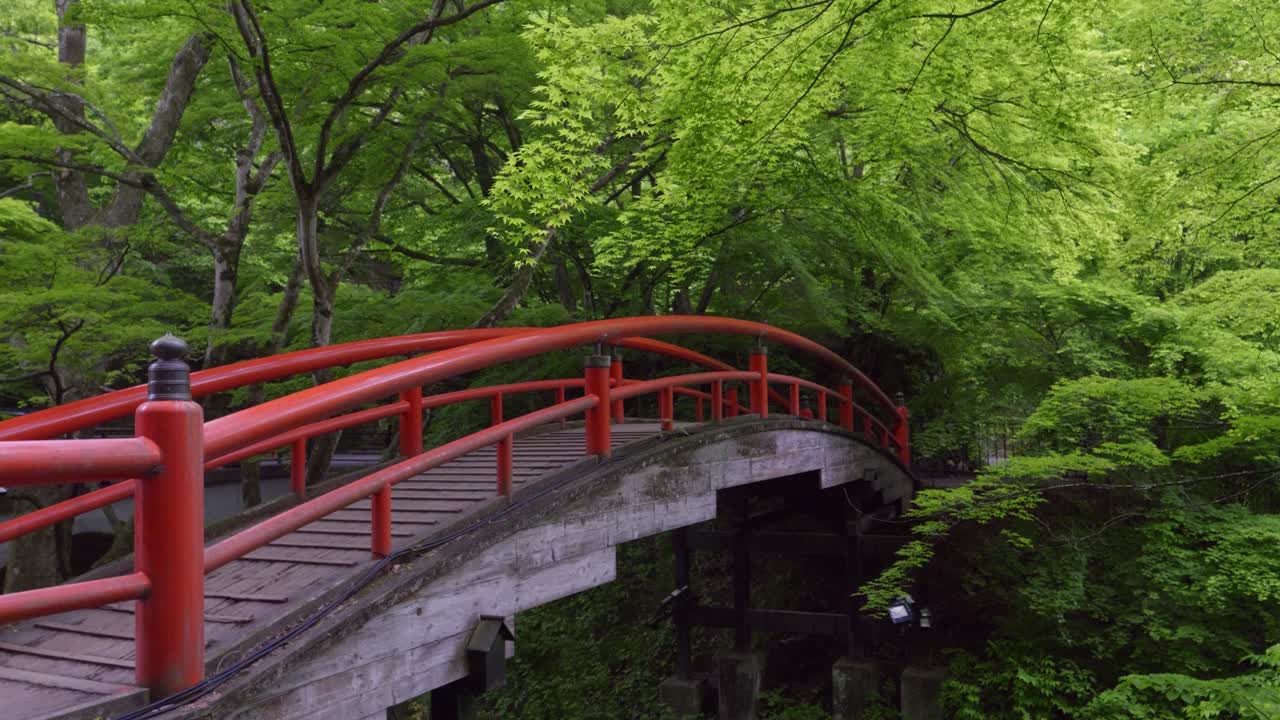 Cinematic view over red wood bridge in Japanese lush forest